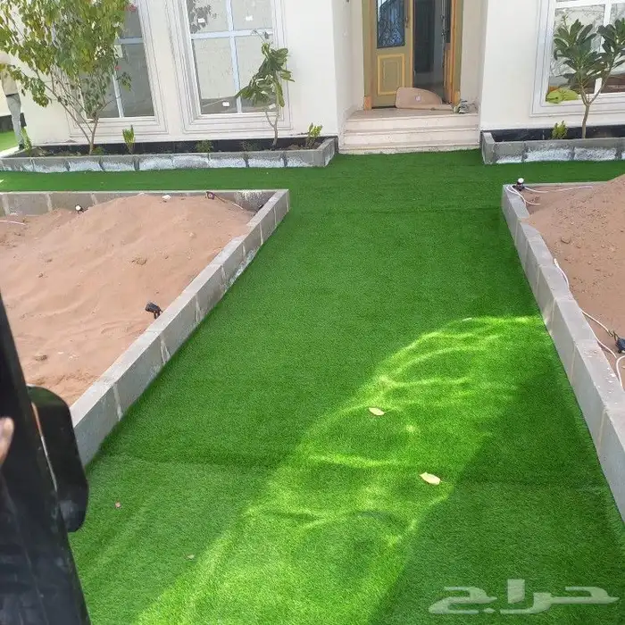 عشب جدارى عشب ارضى بسعر الجملة 4