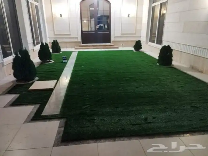 عشب جدارى عشب ارضى بسعر الجملة 2