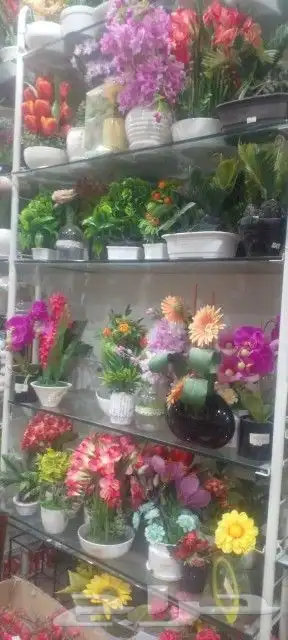 تنسيق حدائق 6