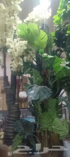 تنسيق حدائق 4