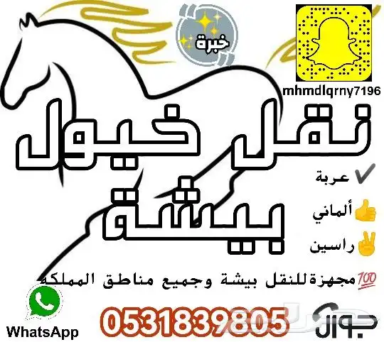 نقل خيول مشاوير داخل بيشة و ضواحيها 2