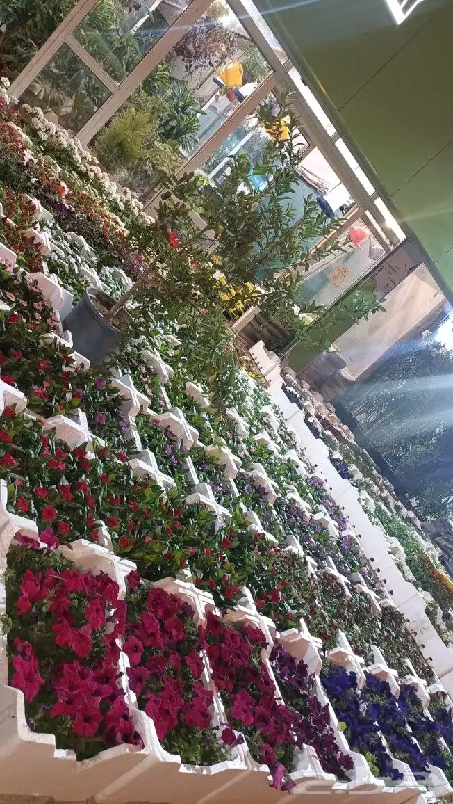 تنسيق حدائق 1