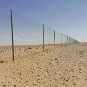 مقاول شبوك 8