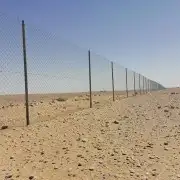 مقاول شبوك 1