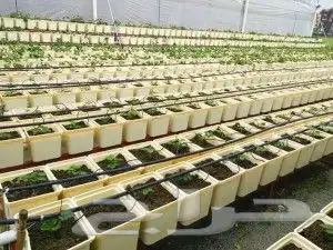 داتش باكيت و احواض ومراكن زراعية جملة 3