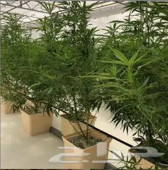 داتش باكيت و احواض ومراكن زراعية جملة 10