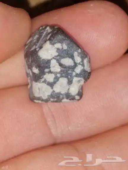 حجر المراد 1