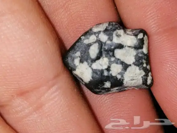 حجر المراد 3