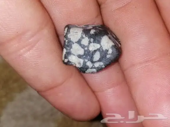 حجر المراد 0