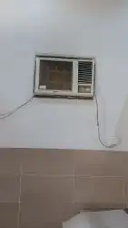 القنفذه القوز 7