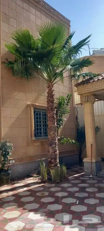 تنسيق حدائق 8