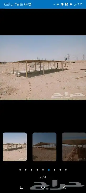 مضلات الغنم مضلات غنم شينكو مضلات ابل شينكو مضلات شينكو هنق 0