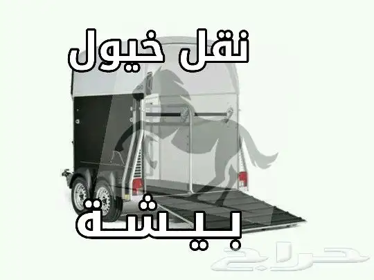 نقل خيول عربة راسين 0