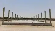 تنفيذ مشاريع دواجن في جميع مناطق المملكة 9