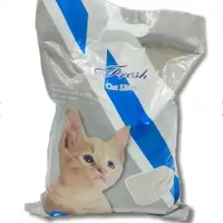 اغراض قطط للبيع 7