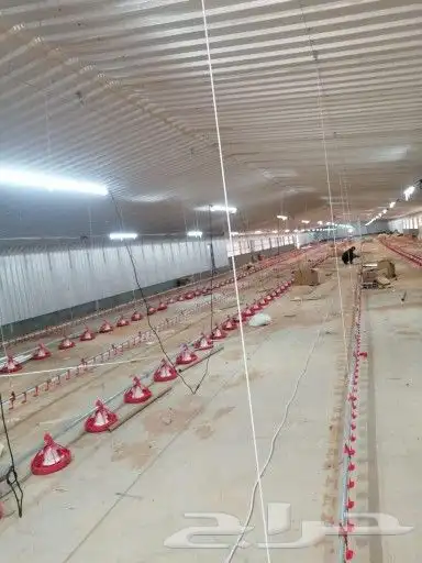 تنفيذ مشاريع دواجن في جميع مناطق المملكة 15