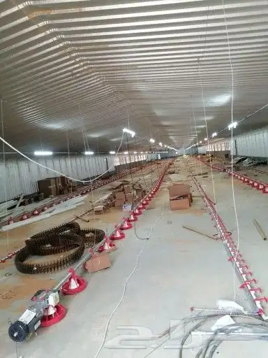 تنفيذ مشاريع دواجن في جميع مناطق المملكة 1