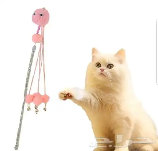 اغراض قطط للبيع 4