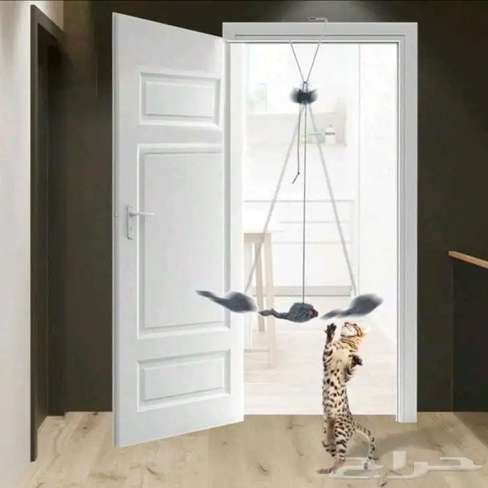 اغراض قطط للبيع 0