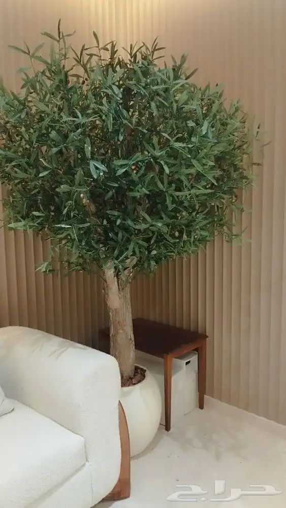 اشجار زيتون صناعي 4