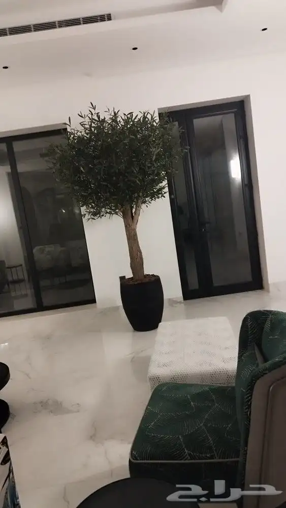 اشجار زيتون صناعي 5