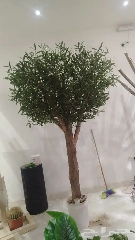 اشجار زيتون صناعي 6