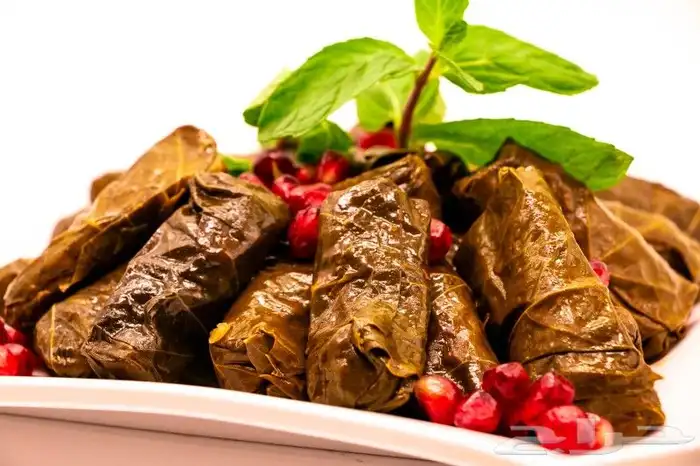 مصور محترف 8