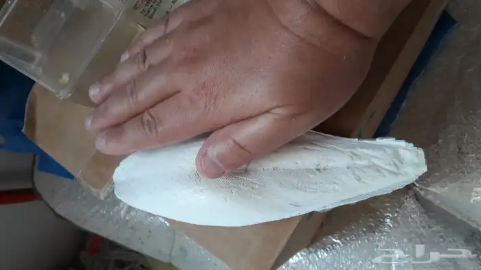 عظم سبيط لجميع الطيور لتزويدهم بالكالسيوم 2