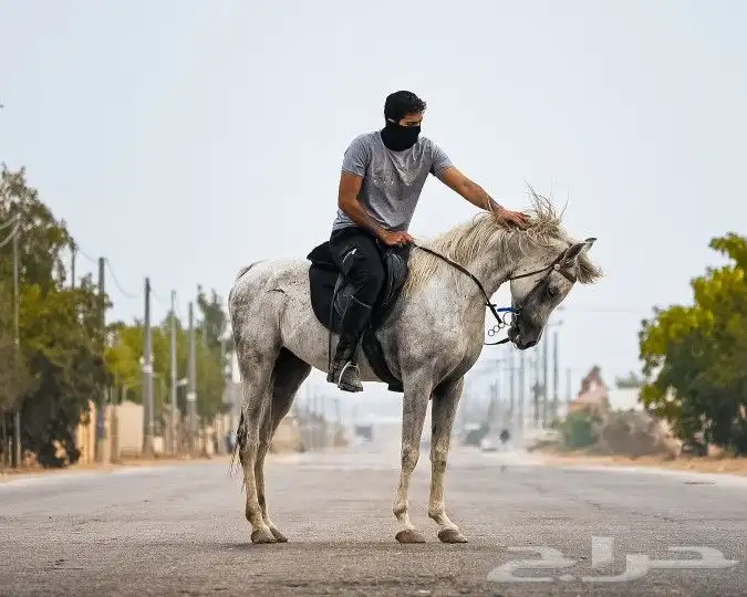 مصور فوتوقرافي محترف 11