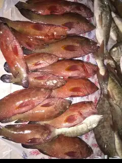 مرس الفناتير الجنوبي 18