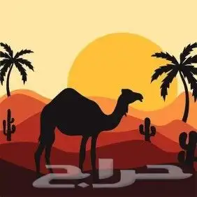 رسام تشكيلي وخطاط 8