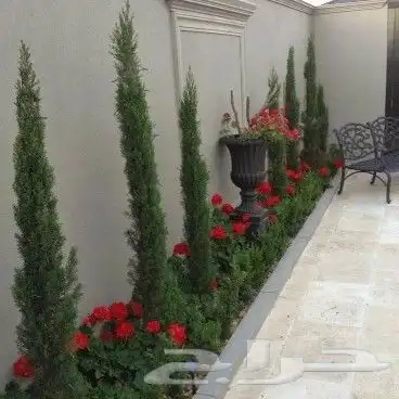 تصميم وتنسيق حدائق حديثه 2