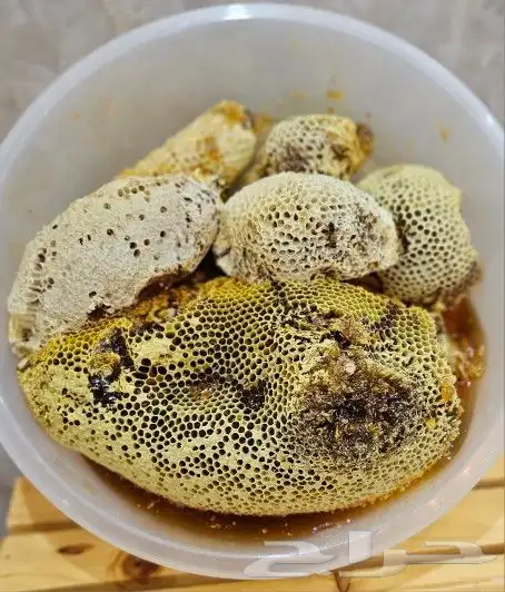 عسل سمره الموسم الحالي 1445 8