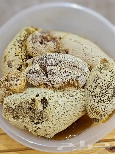 عسل سمره الموسم الحالي 1445 5