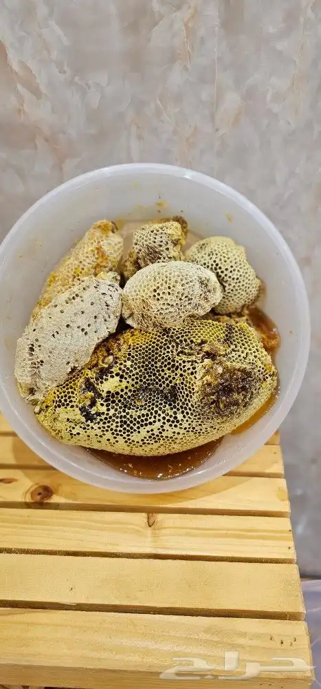 عسل سمره الموسم الحالي 1445 11