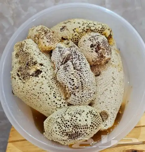 عسل سمره الموسم الحالي 1445 0