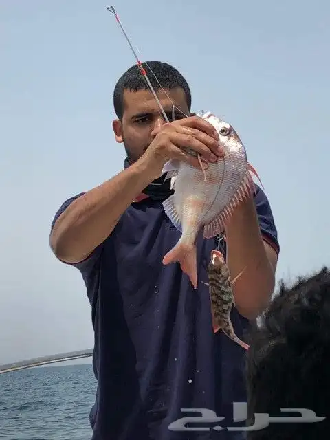 مرس الفناتير الجنوبي 14