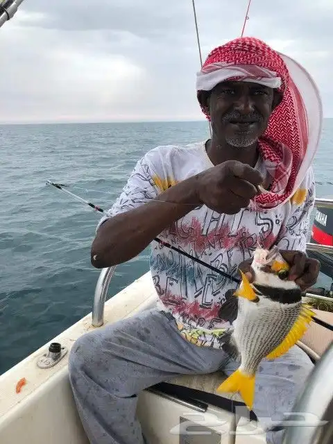 مرس الفناتير الجنوبي 12
