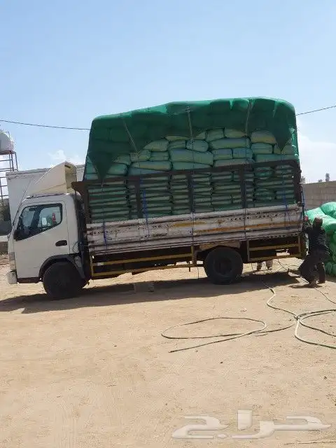 نشارة دواجن 3
