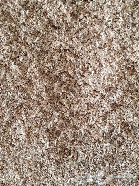 نشارة دواجن 1