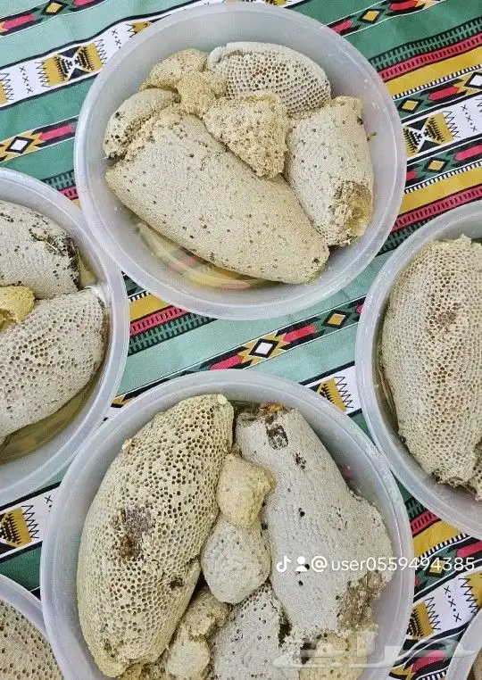 عسل سمره الموسم الحالي 1445 10