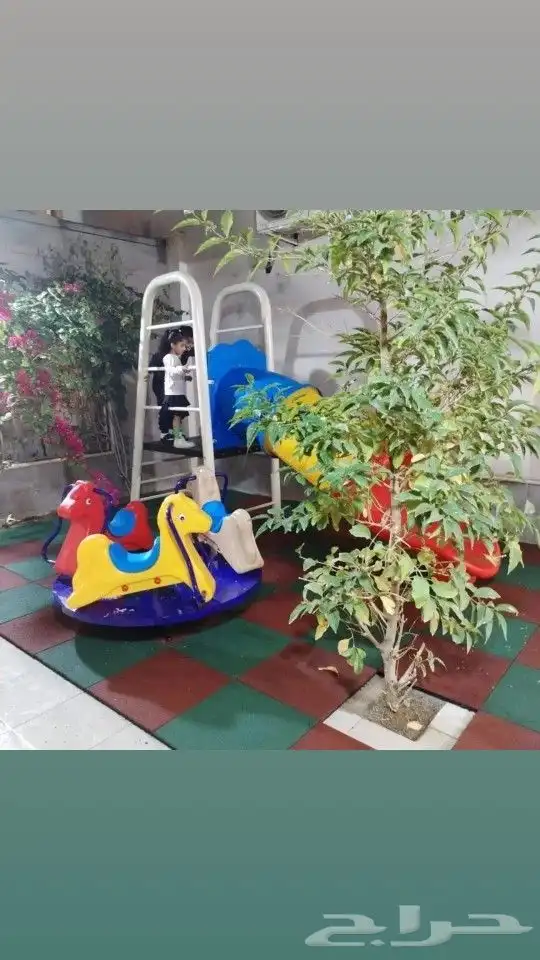 زحلايق متنوعه وصحن دوار 8