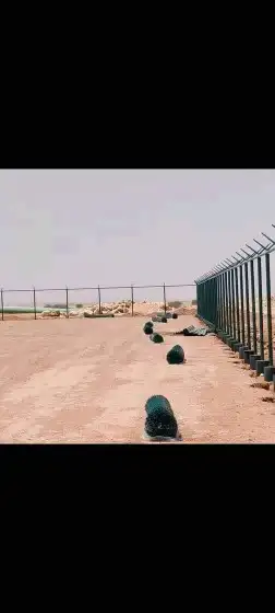 مقاول توريد وزراعة نخيل وتركيب شبوك بالرياض بأفضل الأسعار 1