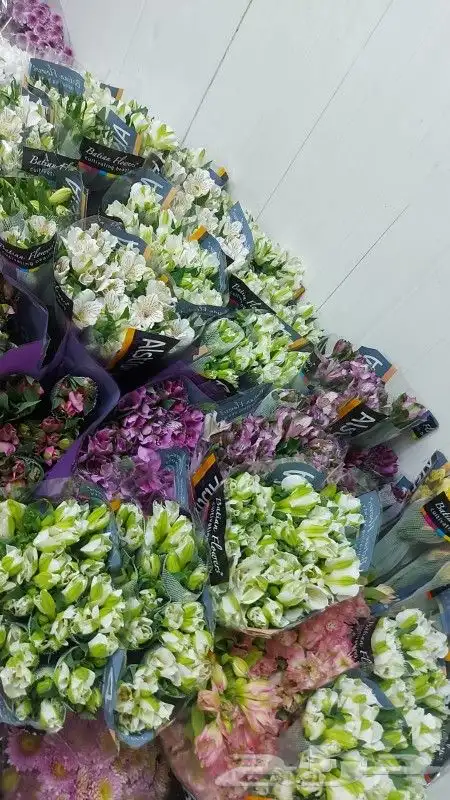 ورد طبيعي بالسعر الجمله الربطه ب 30 فيه 10 وردات عرض لفتر 1
