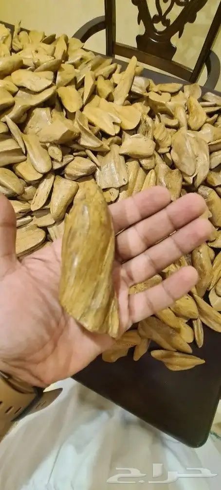 عود مروكي طبيعي أقل من سوبر التصنيف (عرض رمضان) 6