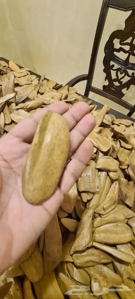 عود مروكي طبيعي أقل من سوبر التصنيف (عرض رمضان) 4