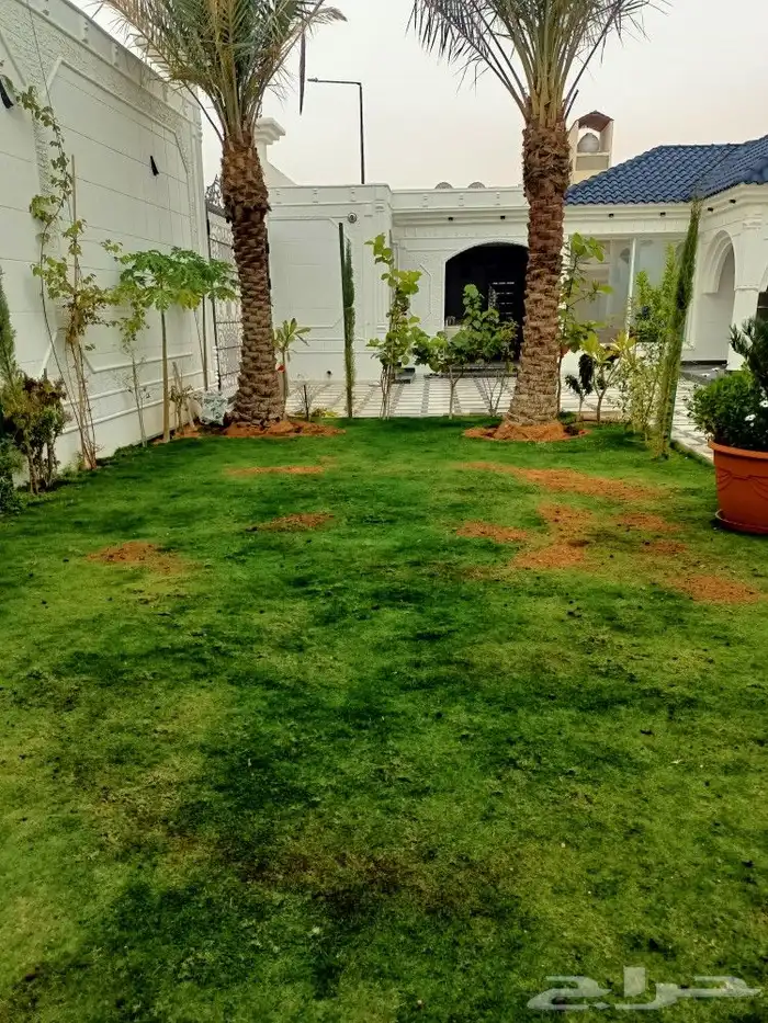 ابداع في تنسيق الحدائق 4