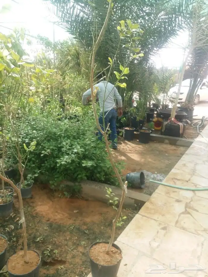 نقوم بانشاء المزارع من الصفر 0