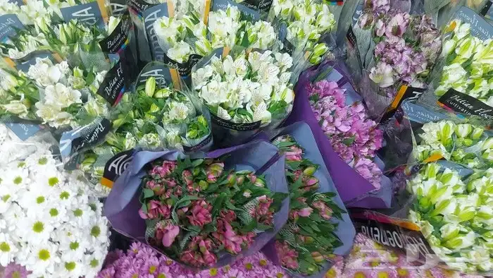 ورد طبيعي بالسعر الجمله الربطه ب 30 فيه 10 وردات عرض لفتر 2