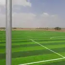 تنسيق حدائق تيل طبيعي 1
